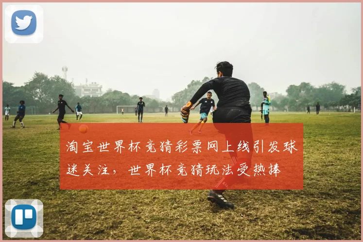 淘宝世界杯竞猜彩票网上线引发球迷关注,世界杯竞猜玩法受热捧
